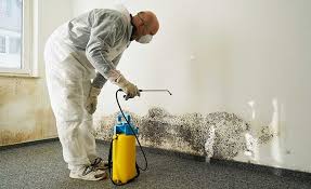 Tatamy, PA Mold Remediation Company